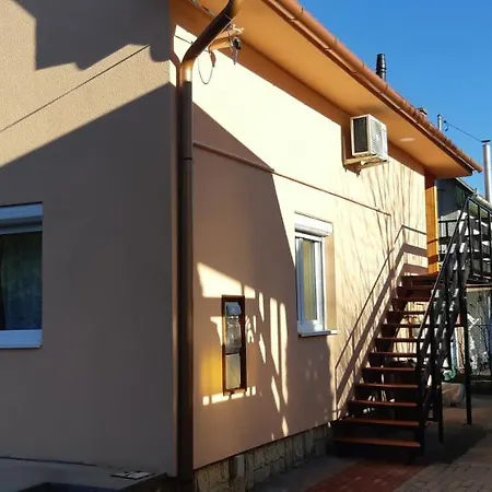 Rózsa *